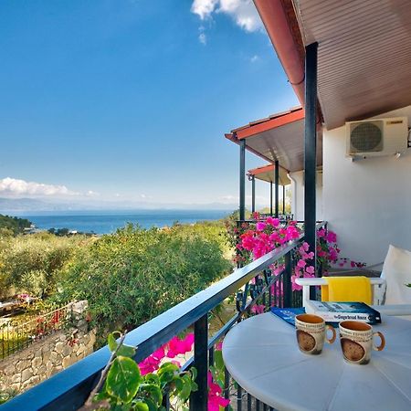 Theodora Apartments - Paxos 가이오스 외부 사진